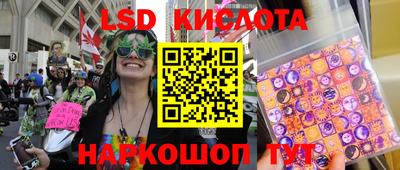 МДПВ Добрянка