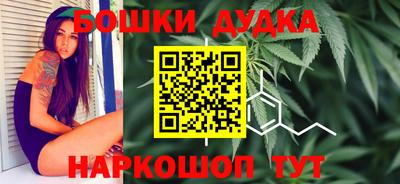 spice Камышлов