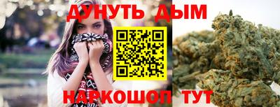 spice Камышлов