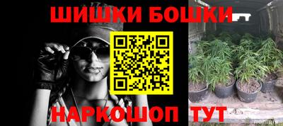 spice Камышлов