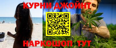 spice Камышлов